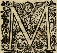 An illustration from Rerum medicarum Novae Hispaniae thesaurus, seu, Plantarum animalium mineralium Mexicanorum historia (1651)