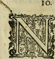 An illustration from Rerum medicarum Novae Hispaniae thesaurus, seu, Plantarum animalium mineralium Mexicanorum historia (1651)