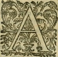 An illustration from Rerum medicarum Novae Hispaniae thesaurus, seu, Plantarum animalium mineralium Mexicanorum historia (1651)