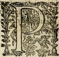 Picture 29 of 812 from Rerum medicarum Novae Hispaniae thesaurus, seu, Plantarum animalium mineralium Mexicanorum historia (1651), leaf 81