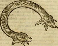 An illustration from Rerum medicarum Novae Hispaniae thesaurus, seu, Plantarum animalium mineralium Mexicanorum historia (1651)