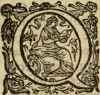 An illustration from Rerum medicarum Novae Hispaniae thesaurus, seu, Plantarum animalium mineralium Mexicanorum historia (1651)