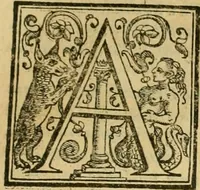 An illustration from Rerum medicarum Novae Hispaniae thesaurus, seu, Plantarum animalium mineralium Mexicanorum historia (1651)