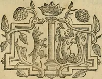 An illustration from Rerum medicarum Novae Hispaniae thesaurus, seu, Plantarum animalium mineralium Mexicanorum historia (1651)