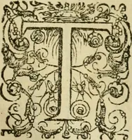 An illustration from Rerum medicarum Novae Hispaniae thesaurus, seu, Plantarum animalium mineralium Mexicanorum historia (1651)