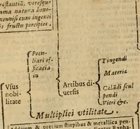 An illustration from Rerum medicarum Novae Hispaniae thesaurus, seu, Plantarum animalium mineralium Mexicanorum historia (1651)