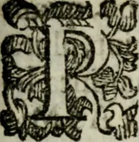 An illustration from Rerum patriæ (1625)