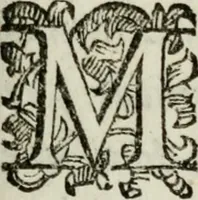 Picture 10 of 11 from Rerum patriæ (1625), leaf 212