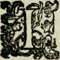 An illustration from Rerum patriæ (1625)