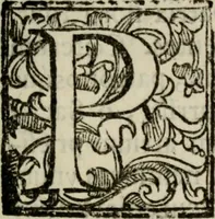 Picture 4 of 11 from Rerum patriæ (1625), leaf 8