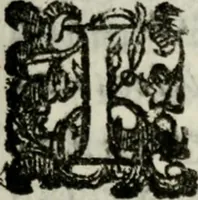 An illustration from Rerum patriæ (1625)