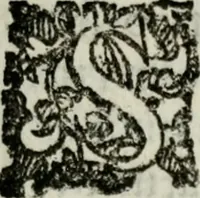 Picture 8 of 11 from Rerum patriæ (1625), leaf 96