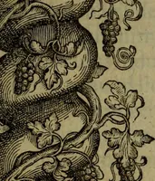 Picture 4 of 131 from Rervm anglicarvm scriptores post Bedam praecipvi (1596), leaf 10