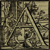 Picture 44 of 131 from Rervm anglicarvm scriptores post Bedam praecipvi (1596), leaf 206