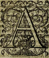 Picture 46 of 131 from Rervm anglicarvm scriptores post Bedam praecipvi (1596), leaf 213
