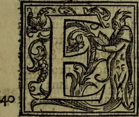 Picture 13 of 131 from Rervm anglicarvm scriptores post Bedam praecipvi (1596), leaf 24