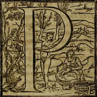 Picture 68 of 131 from Rervm anglicarvm scriptores post Bedam praecipvi (1596), leaf 301