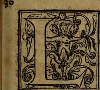 Picture 75 of 131 from Rervm anglicarvm scriptores post Bedam praecipvi (1596), leaf 334