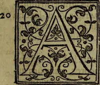An illustration from Rervm anglicarvm scriptores post Bedam praecipvi (1596)