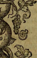 Picture 102 of 131 from Rervm anglicarvm scriptores post Bedam praecipvi (1596), leaf 464