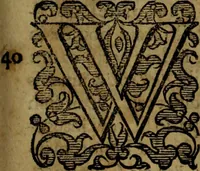 Picture 105 of 131 from Rervm anglicarvm scriptores post Bedam praecipvi (1596), leaf 532