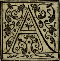 Picture 25 of 131 from Rervm anglicarvm scriptores post Bedam praecipvi (1596), leaf 61