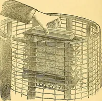 Picture 1 of 13 from Researches in the phenomena of spiritualism (1874), leaf 15