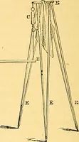 Picture 5 of 13 from Researches in the phenomena of spiritualism (1874), leaf 37