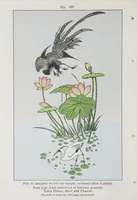 An illustration from Researches into Chinese superstitions, by Henry Doré, S.J. ; (1926)