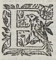 Picture 2 of 5 from Resolucion y apologia della acerca de vn graue y raro caso que en materia de espiritu se consultó (1649), leaf 11
