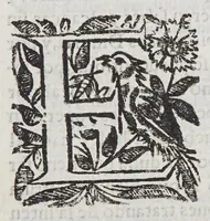 Picture 5 of 5 from Resolucion y apologia della acerca de vn graue y raro caso que en materia de espiritu se consultó (1649), leaf 81