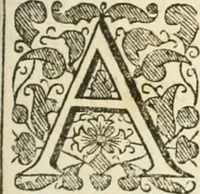 An illustration from Resolves: divine, moral, political. The 9th impression. With new and several other additions both in prose and verse not extant in the former impressions (1670)
