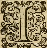 An illustration from Resolves : A duple century (1631)