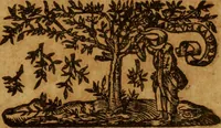 Picture 7 of 14 from Resolves : a duple century (1636), leaf 324