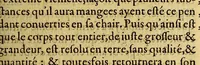 An illustration from Responce par le chevalier de Villegaignon aux Remonstrances faictes à la royne mere du roy (1561)