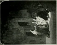 An illustration from Restaurant Rijks-Museum Amsterdam (1908)