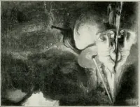 Picture 4 of 53 from Restaurant Rijks-Museum Amsterdam (1908), leaf 8