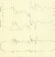 Picture 8 of 20 from Results of the magnetical and meteorological observations made at the Royal Observatory, Greenwich, in the year 1876[-82.] (1882), leaf 110