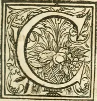 An illustration from Resuscitatio; or, Bringing into publick light severall pieces, of the works, civil, historical, philosophical, & theological, hitherto sleeping, of the Right Honourable Francis Bacon. According to the best corrected coppies. Together, with his Lordships life (1657)