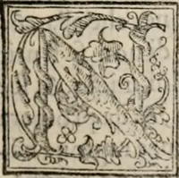 Picture 16 of 31 from Retorica ... amplissimamente tradotta, & illustrata con dotte & vtilissime digressioni (1597), leaf 156