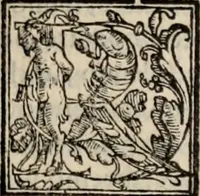 An illustration from Retorica ... amplissimamente tradotta, & illustrata con dotte & vtilissime digressioni (1597)