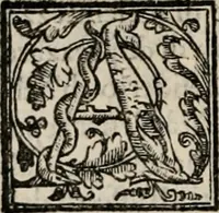 An illustration from Retorica ... amplissimamente tradotta, & illustrata con dotte & vtilissime digressioni (1597)