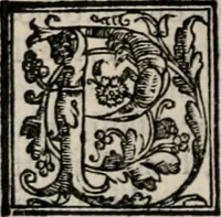 An illustration from Retorica ... amplissimamente tradotta, & illustrata con dotte & vtilissime digressioni (1597)