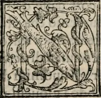Picture 22 of 31 from Retorica ... amplissimamente tradotta, & illustrata con dotte & vtilissime digressioni (1597), leaf 211