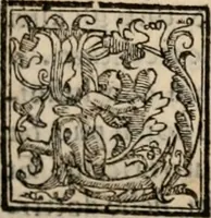 An illustration from Retorica ... amplissimamente tradotta, & illustrata con dotte & vtilissime digressioni (1597)