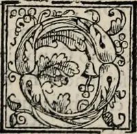 An illustration from Retorica ... amplissimamente tradotta, & illustrata con dotte & vtilissime digressioni (1597)
