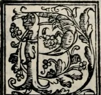 An illustration from Retorica ... amplissimamente tradotta, & illustrata con dotte & vtilissime digressioni (1597)