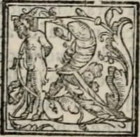 An illustration from Retorica ... amplissimamente tradotta, & illustrata con dotte & vtilissime digressioni (1597)