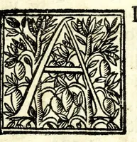 Picture 2 of 24 from Retta linea gnomonica (1675), leaf 7