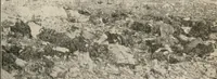 An illustration from The return of Jesus ; an earnest review of the scriptural evidences which establish the great Christian doctrine of the second coming of Christ, together with a close study of the prophecies relating to this glorious event and the fulfillment of these prophecies in the present generation (1917)